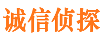 礼县市场调查